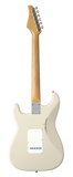dS-205S RSV/LTD