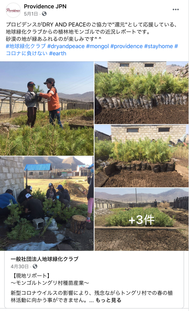 Current status report from the Earth Greening Club in Mongolia, a forest plantation site (May)
